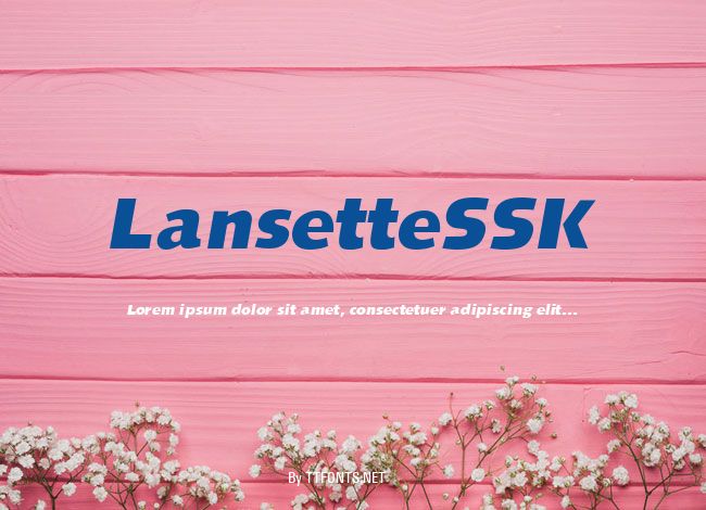LansetteSSK example